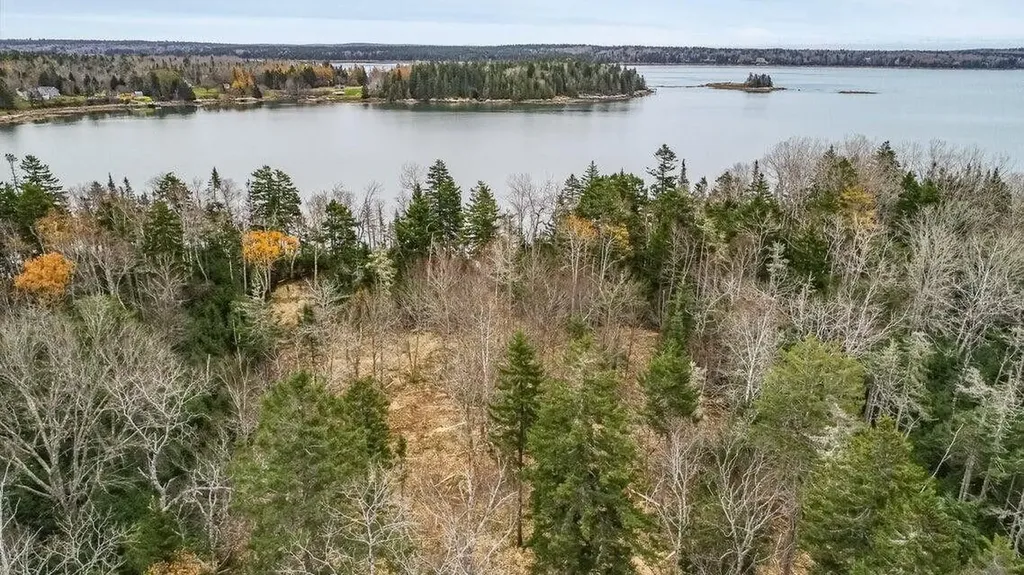 Lot 11 Quiet Shore Road Steuben ME 04680