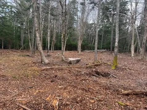 Lot 11 Quiet Shore Road Steuben ME 04680