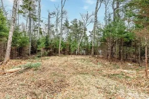 Lot 11 Quiet Shore Road Steuben ME 04680