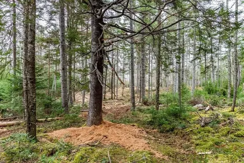 Lot 11 Quiet Shore Road Steuben ME 04680