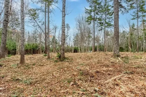 Lot 11 Quiet Shore Road Steuben ME 04680