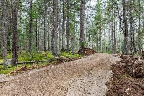 Lot 11 Quiet Shore Road Steuben ME 04680