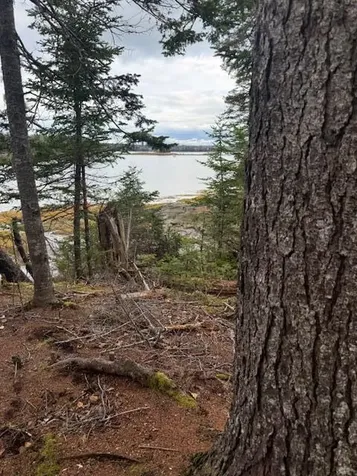 Lot 11 Quiet Shore Road Steuben ME 04680