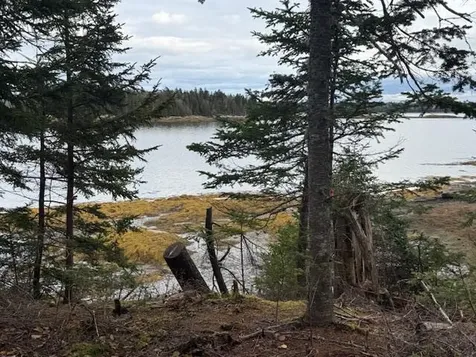 Lot 11 Quiet Shore Road Steuben ME 04680