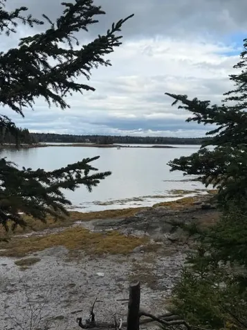 Lot 11 Quiet Shore Road Steuben ME 04680