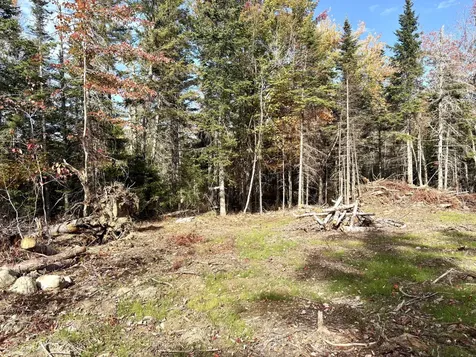 Xx S Meadow Road Perry ME 04667
