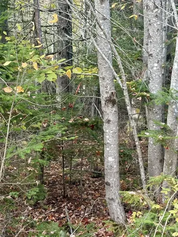 Xx S Meadow Road Perry ME 04667