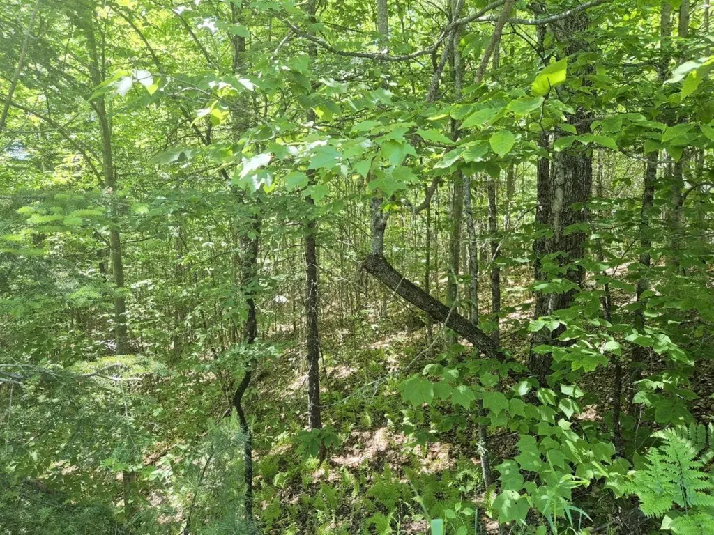 MU23 L19b Holley Road Farmington ME 04938