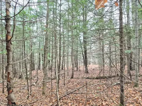 MU23 L19b Holley Road Farmington ME 04938
