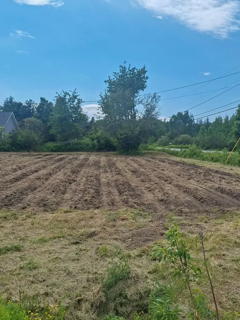 M3L19 Off Cross Road Dennysville ME 04628