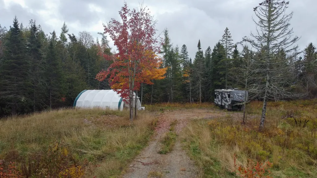 M3L19 Off Cross Road Dennysville ME 04628