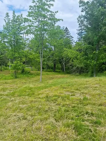 M3L19 Off Cross Road Dennysville ME 04628