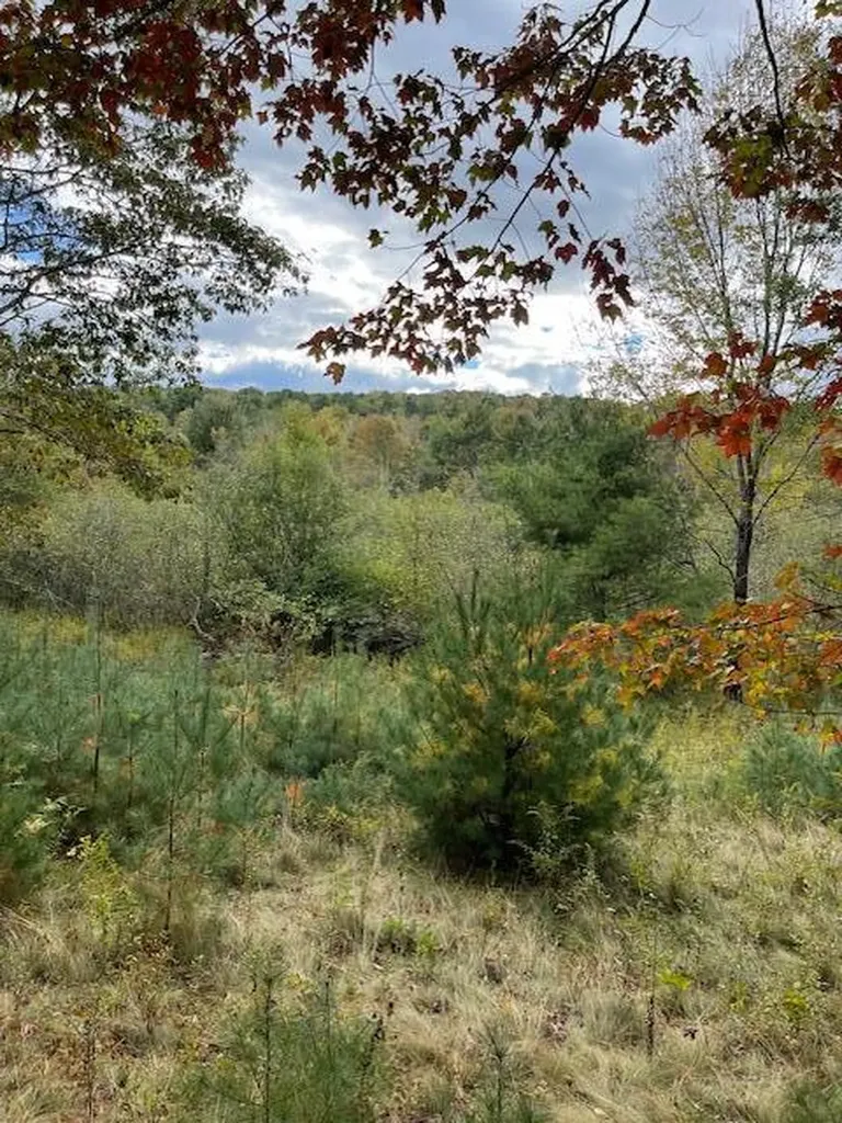 MAP4LOT3 E Bucksport Road Orrington ME 04474