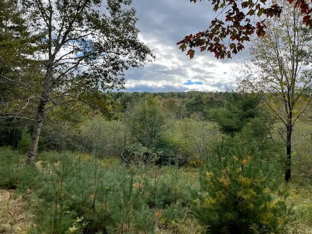 MAP4LOT3 E Bucksport Road Orrington ME 04474