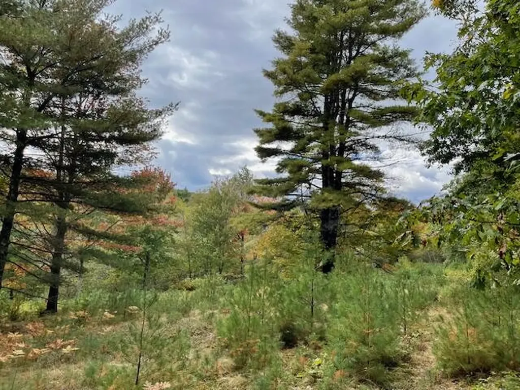 MAP4LOT3 E Bucksport Road Orrington ME 04474