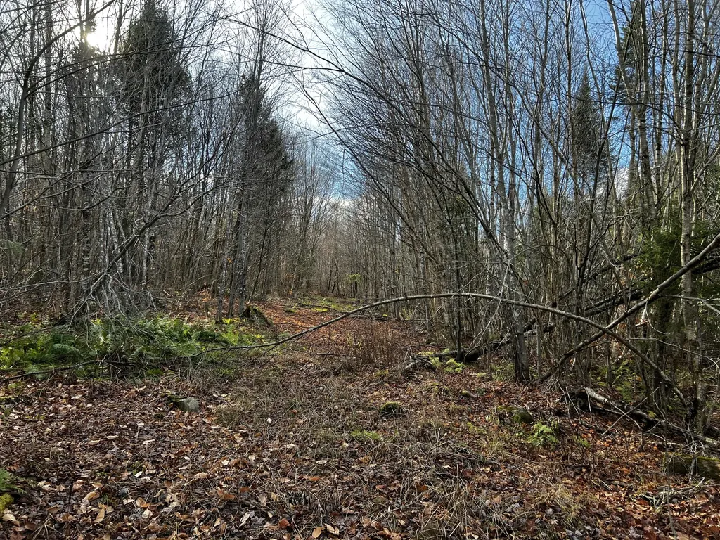 39-4 Fire Road Linneus ME 04730