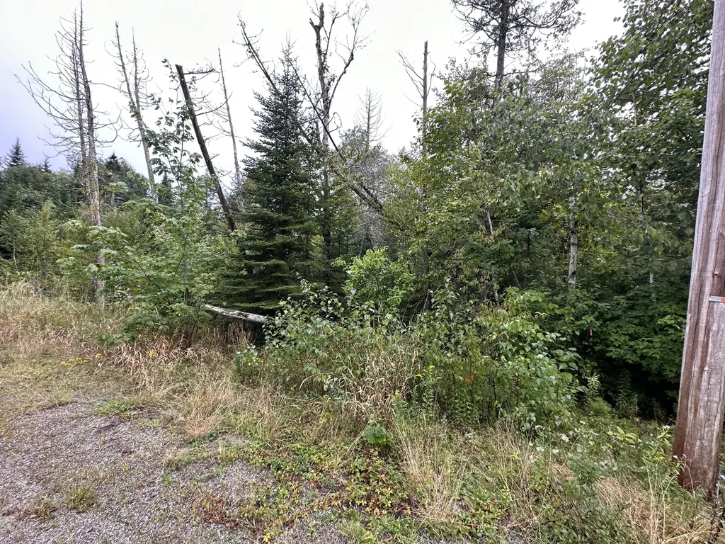 36 Addie Road Ellsworth ME 04605
