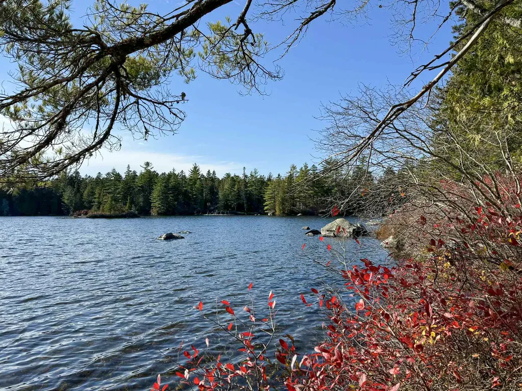 Lot 15 Long Lake Road Northfield ME 04654