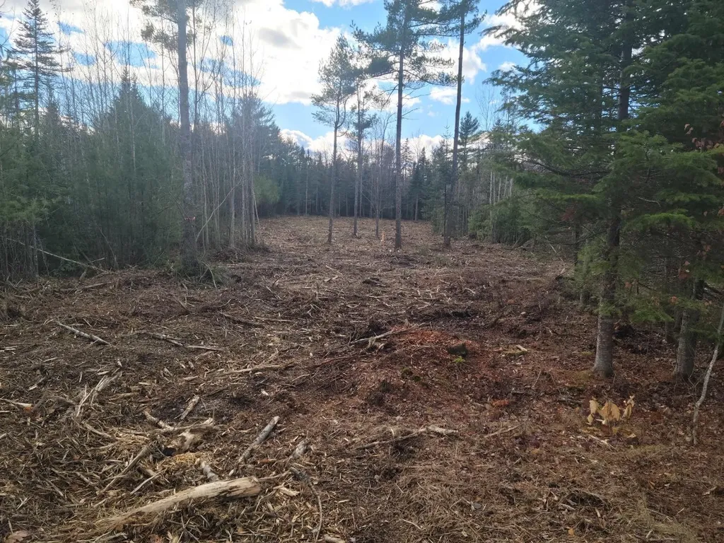 Lot 4 00 Stonewall Drive Orrington ME 04474