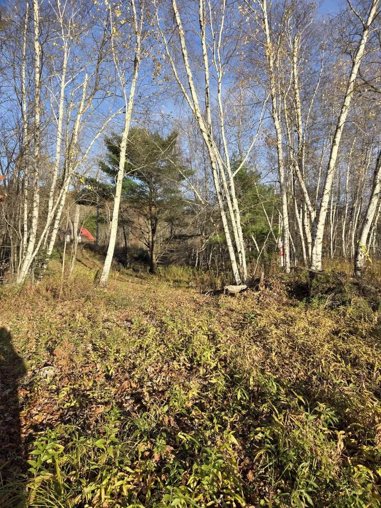 000 Intervale Road Jay ME 04239