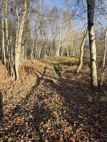 000 Intervale Road Jay ME 04239