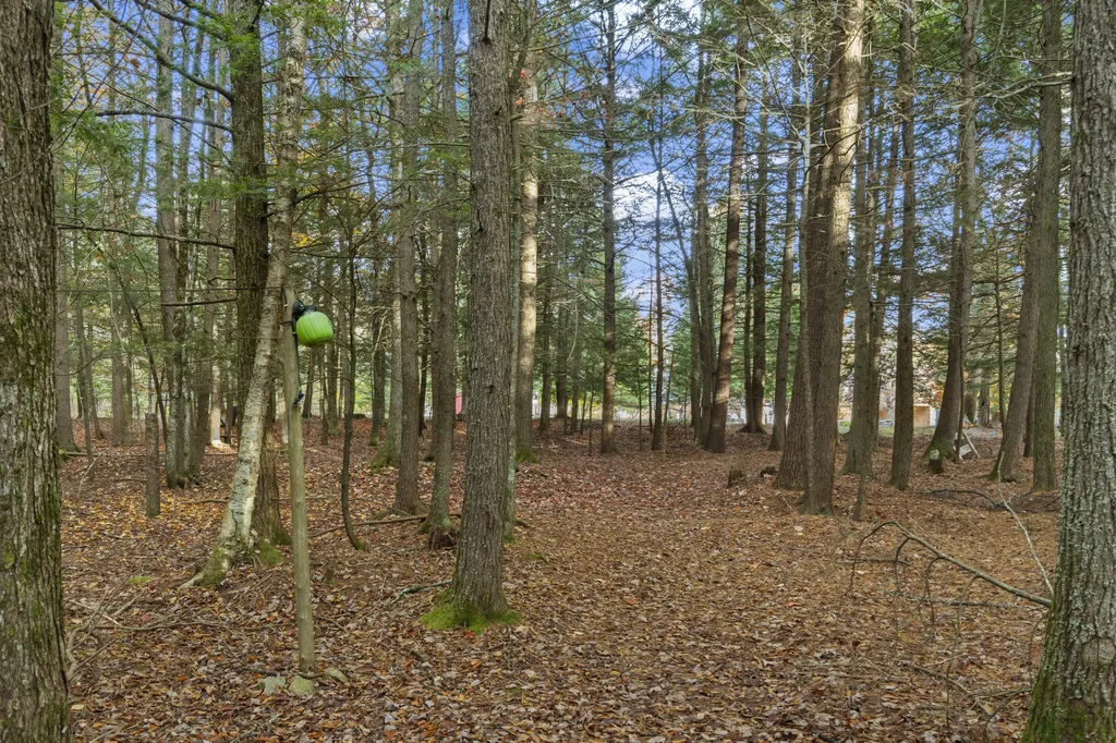 82 Carll Road Buxton ME 04093