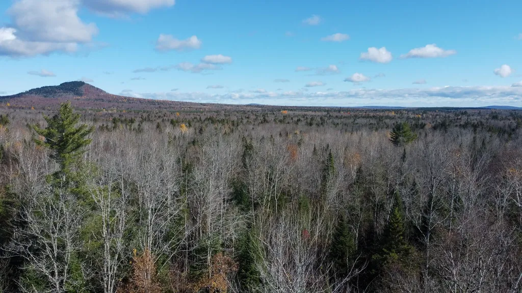 M5L16 Aroostook Scenic Highway Hersey ME 04780