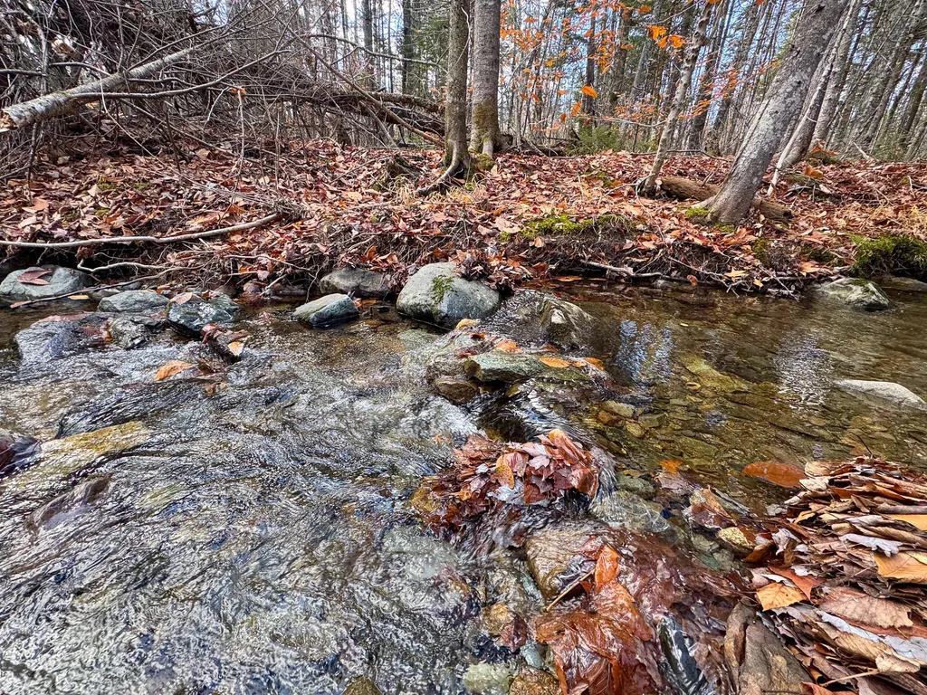 M5L16 Aroostook Scenic Highway Hersey ME 04780