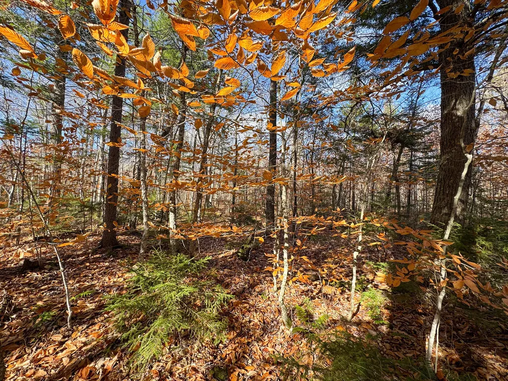 M5L16 Aroostook Scenic Highway Hersey ME 04780