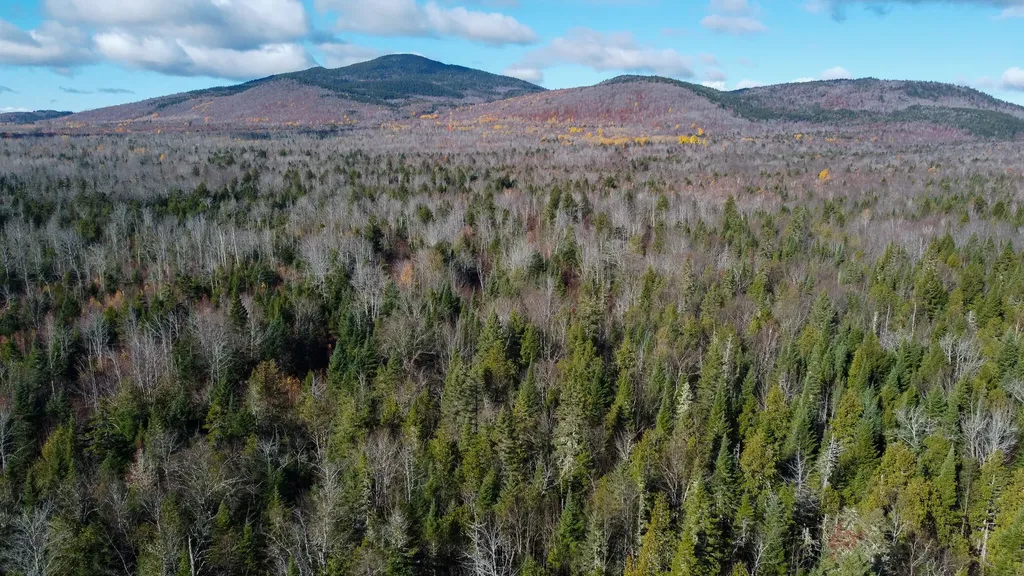 M5L16 Aroostook Scenic Highway Hersey ME 04780