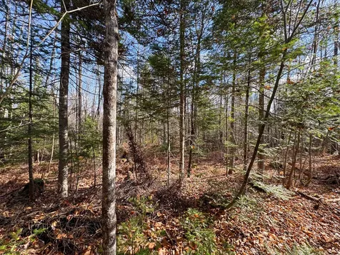M5L16 Aroostook Scenic Highway Hersey ME 04780