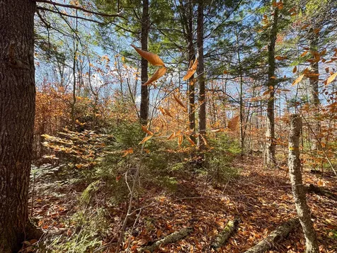 M5L16 Aroostook Scenic Highway Hersey ME 04780