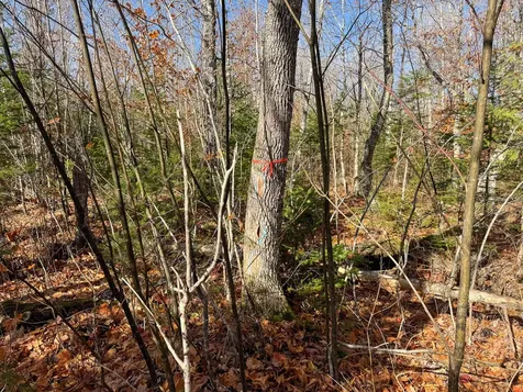 M5L16 Aroostook Scenic Highway Hersey ME 04780
