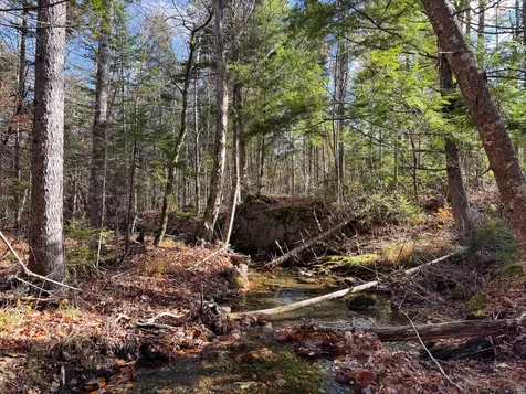 M5L16 Aroostook Scenic Highway Hersey ME 04780
