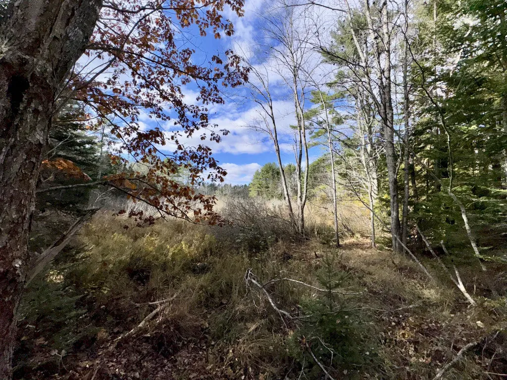 2738 Burkettville Road Liberty ME 04949
