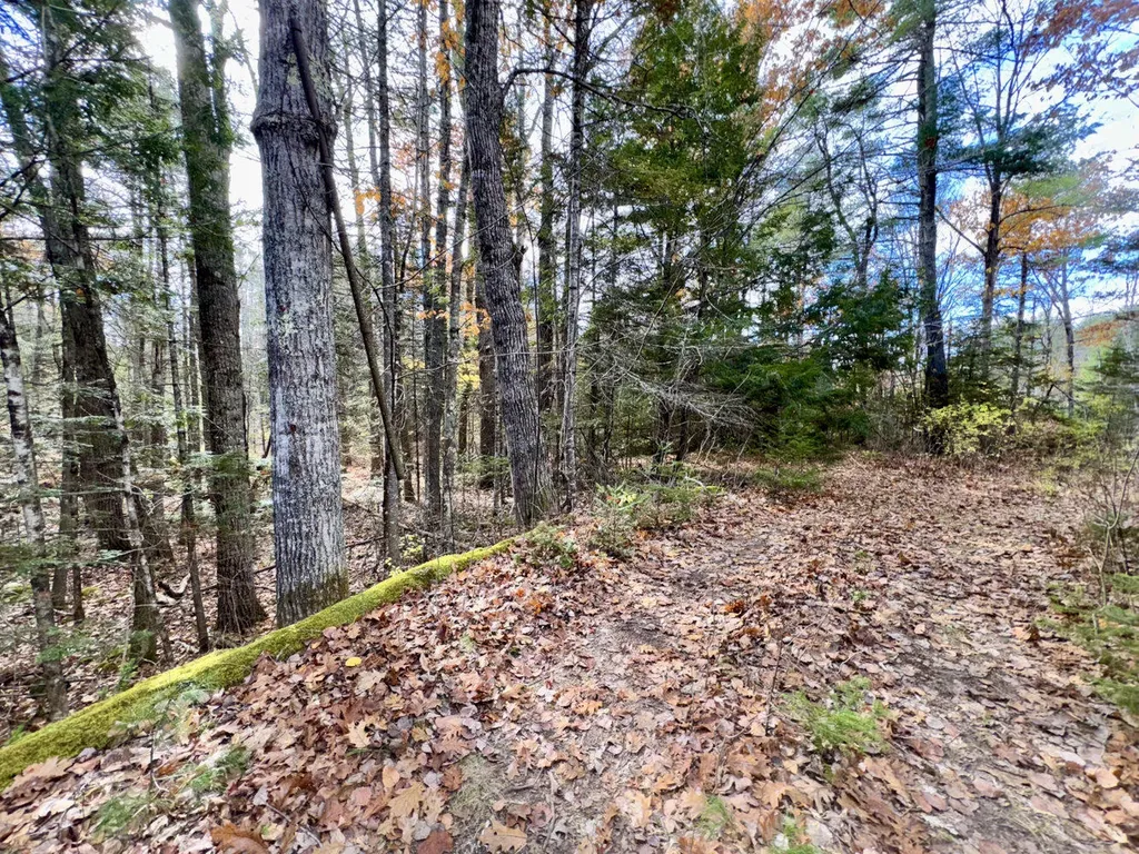 2738 Burkettville Road Liberty ME 04949