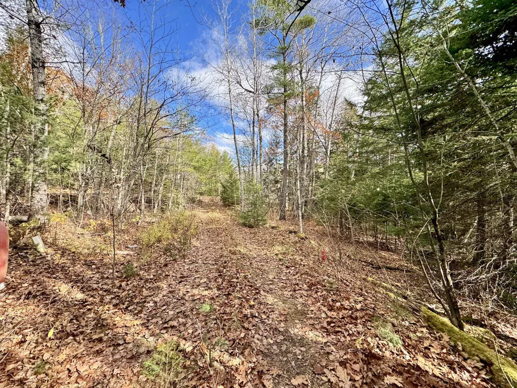 2738 Burkettville Road Liberty ME 04949