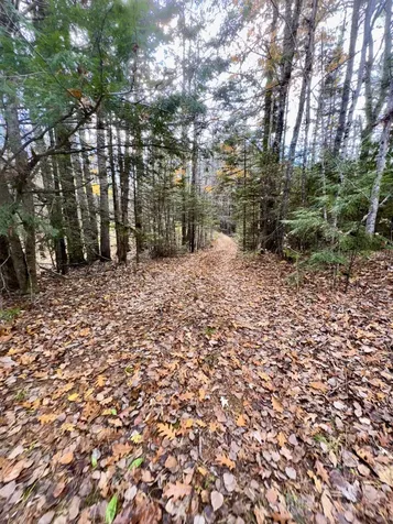 2738 Burkettville Road Liberty ME 04949