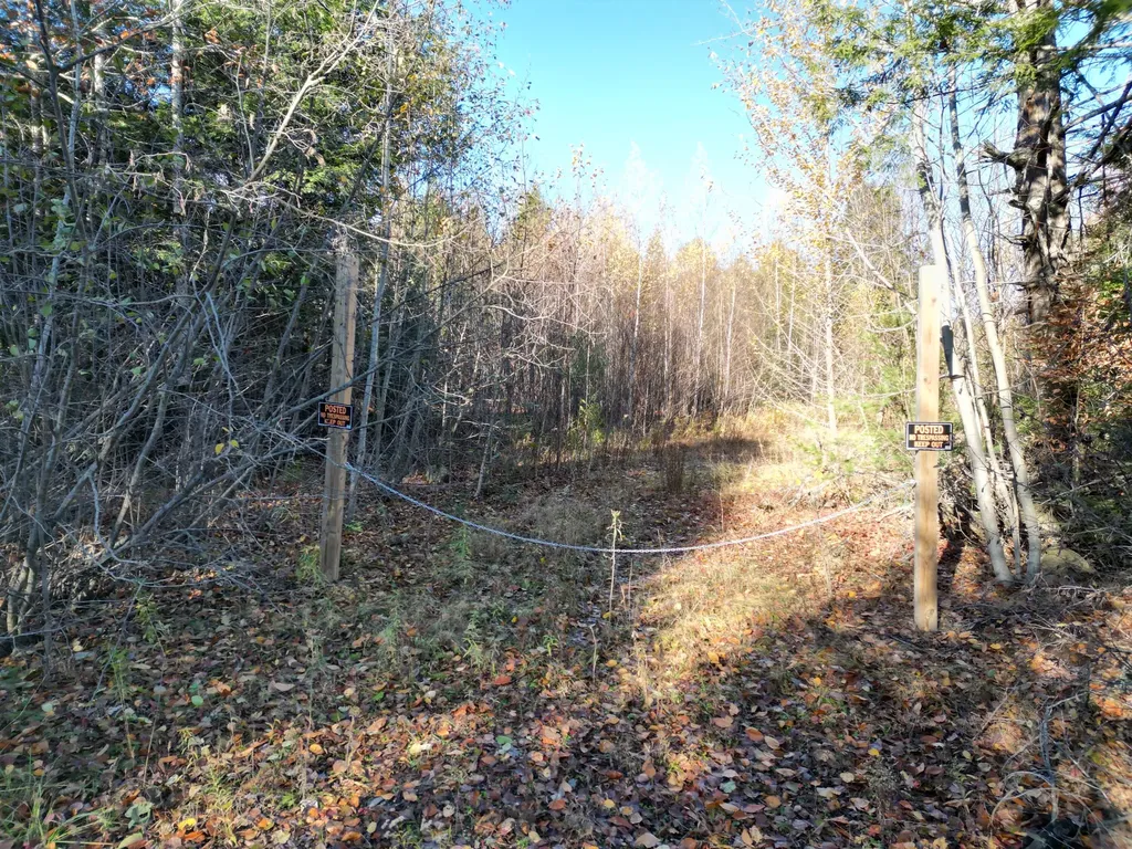 Lot 18-1 Mattamiscontis Road Howland ME 04448