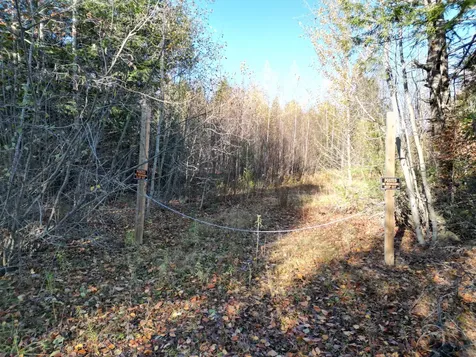Lot 18-1 Mattamiscontis Road Howland ME 04448