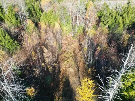 Lot 18-1 Mattamiscontis Road Howland ME 04448
