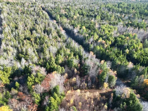 Lot 18-1 Mattamiscontis Road Howland ME 04448