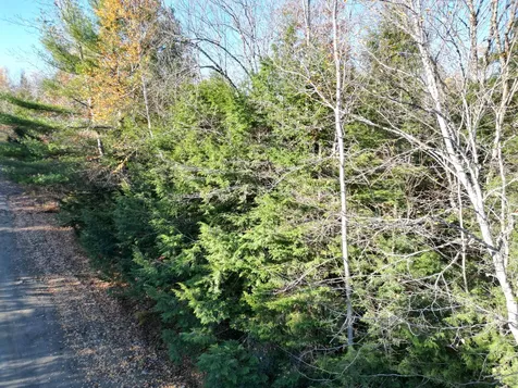 Lot 18-1 Mattamiscontis Road Howland ME 04448