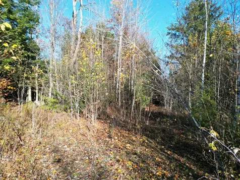 Lot 18-1 Mattamiscontis Road Howland ME 04448