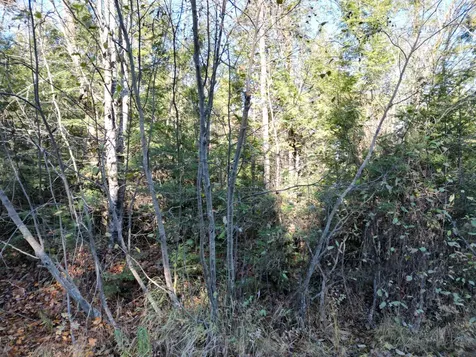 Lot 18-1 Mattamiscontis Road Howland ME 04448