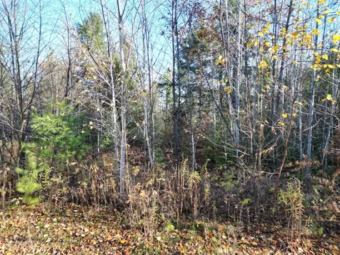 Lot 18-1 Mattamiscontis Road Howland ME 04448