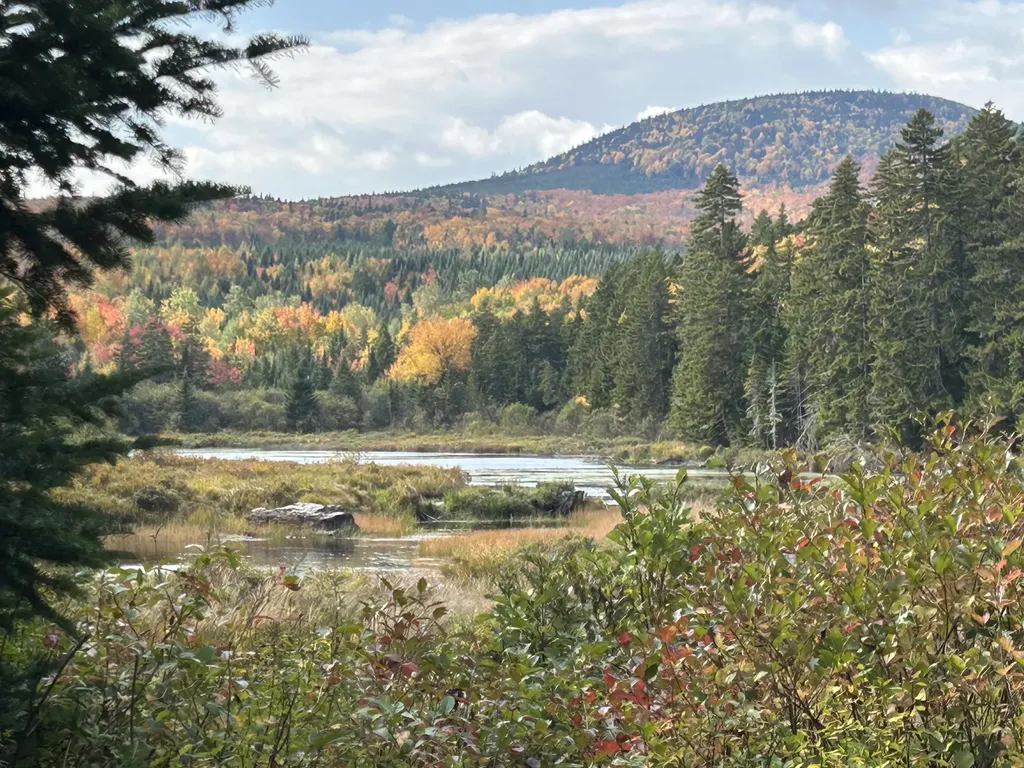 5 Markham Pond Road Johnson Mountain Twp ME 04945