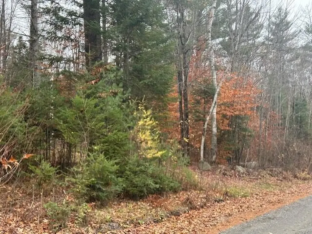 54-1 Glass Hill Road Guilford ME 04443