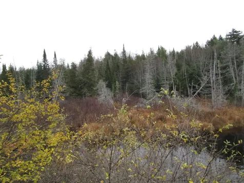 Lot 25 Medford Center Medford ME 04463