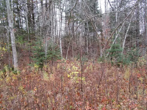 Lot 25 Medford Center Medford ME 04463